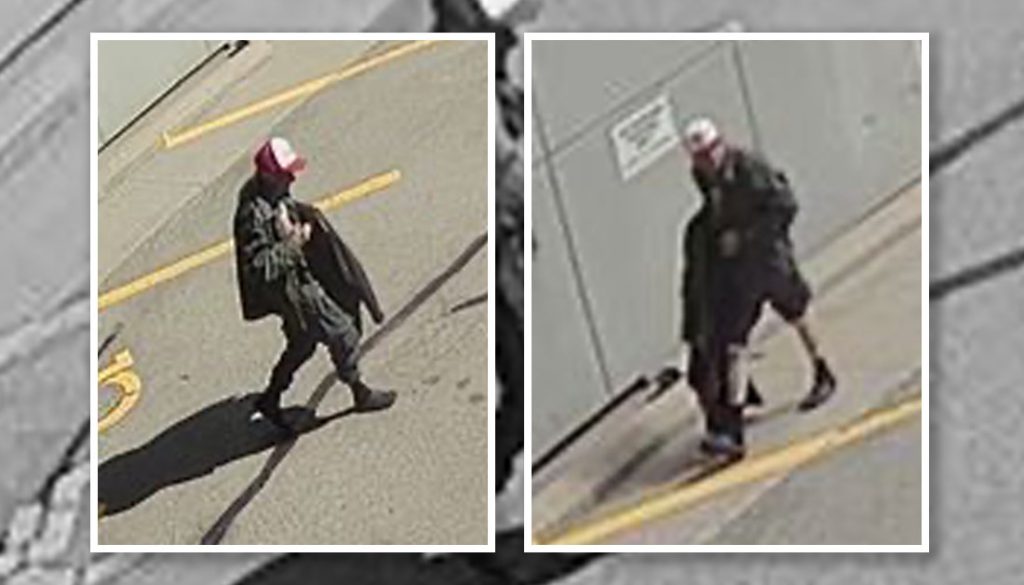 Hamilton Police Looking To Identify Arson Suspect Who Set Garbage Cans On Fire In Downtown Insauga 