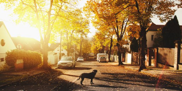 Ontario, Mississauga, weather, Environment Canada, forecast, sunny, warm, temperatures, wind