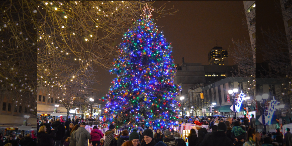 City of Hamilton ends Christmas tree search; installation dates