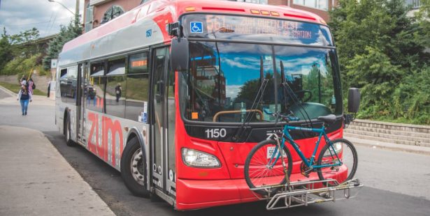 501c brampton transit york university petition cancelled bus route