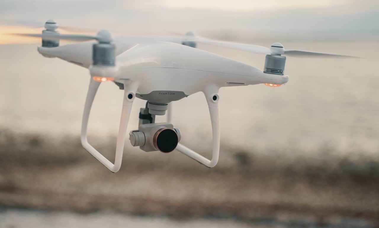 After realizing a drone was just a bird Police conclude investigation in an Ontario city