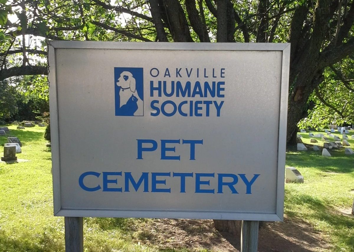 Pet Cemetery To Be Excavated Ahead Of Move To New Oakville Location   Pet Cemetary E1691593264994 