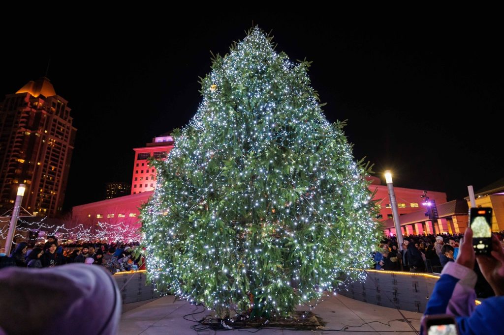 35foot Christmas tree will be lit up in downtown Mississauga INsauga