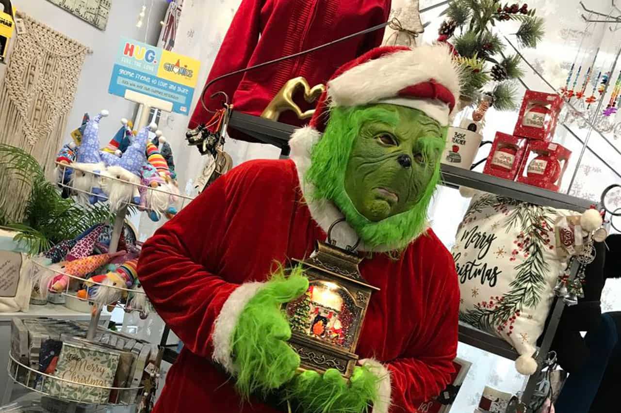 grinch cleaning mississauga