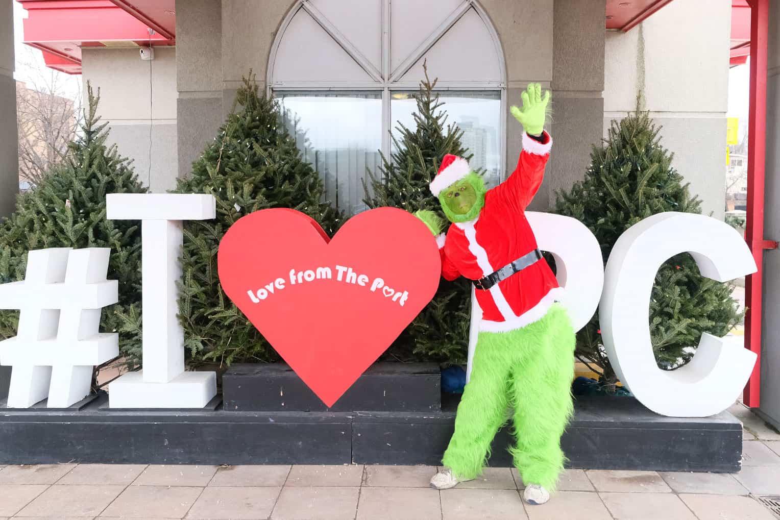 grinch cleaning mississauga