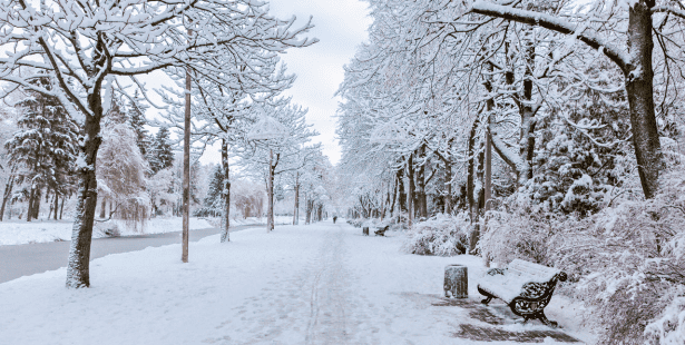 Nov. 21 weather: Rain and snow on the way for some parts of southern Ontario