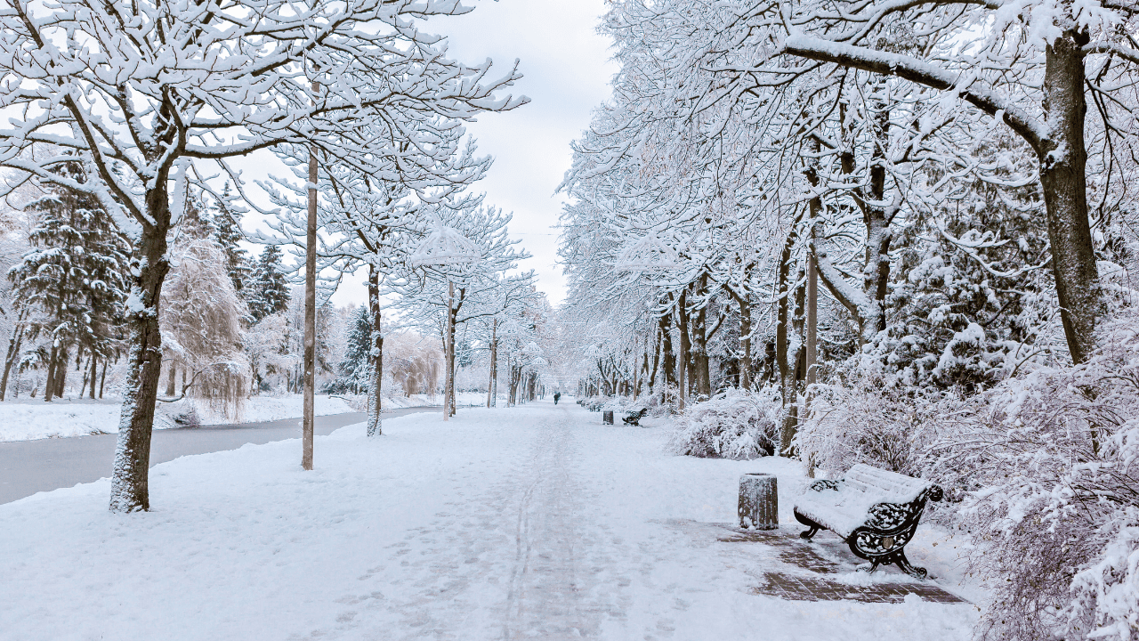 15 to 20 cm of snow expected in parts of southern Ontario this week