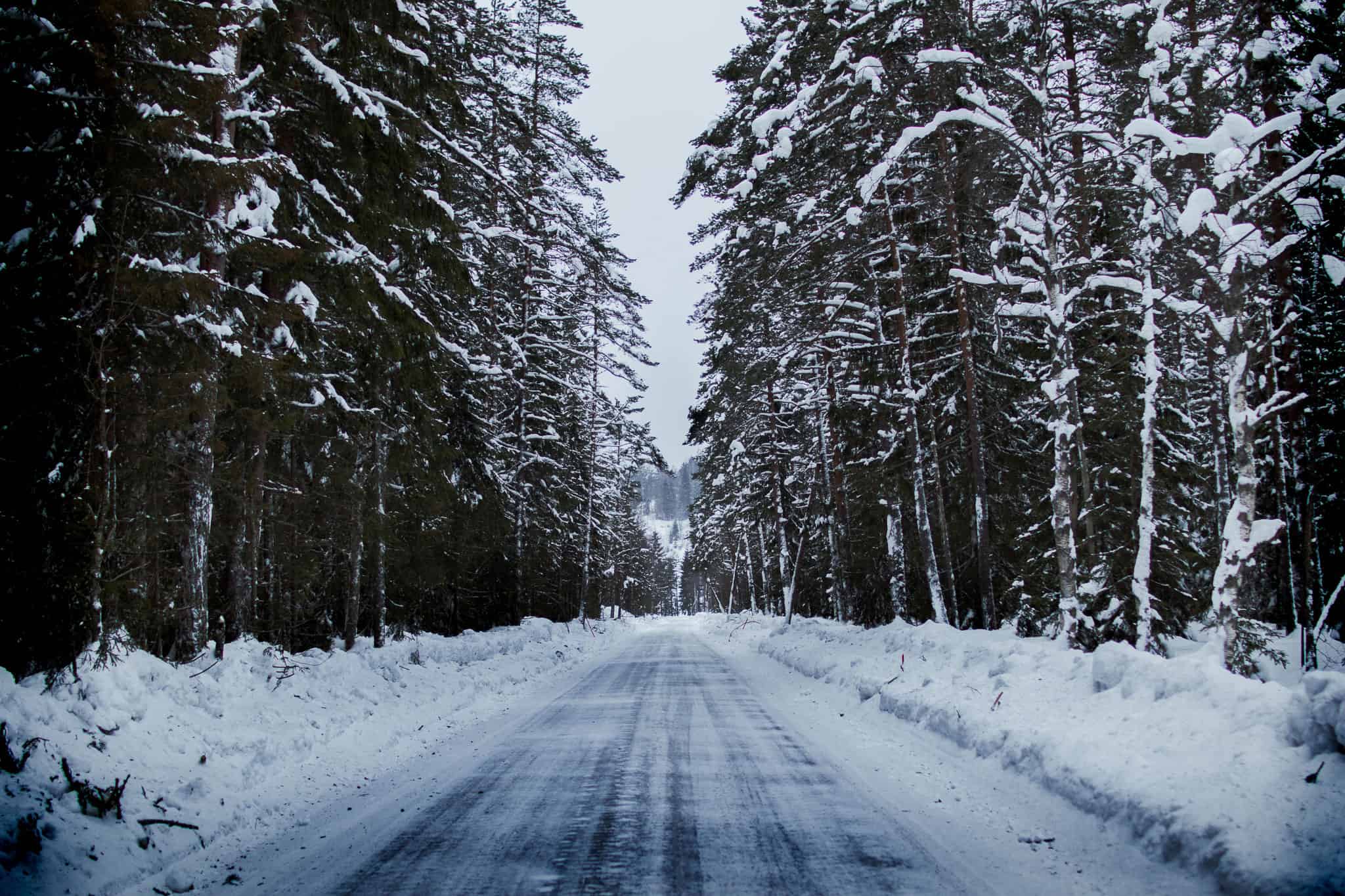 winter storm watch ontario