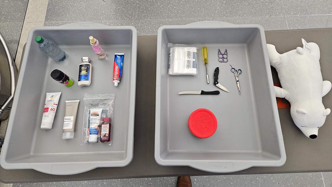 Items confiscated at Pearson Airport in Mississauga March 2024.