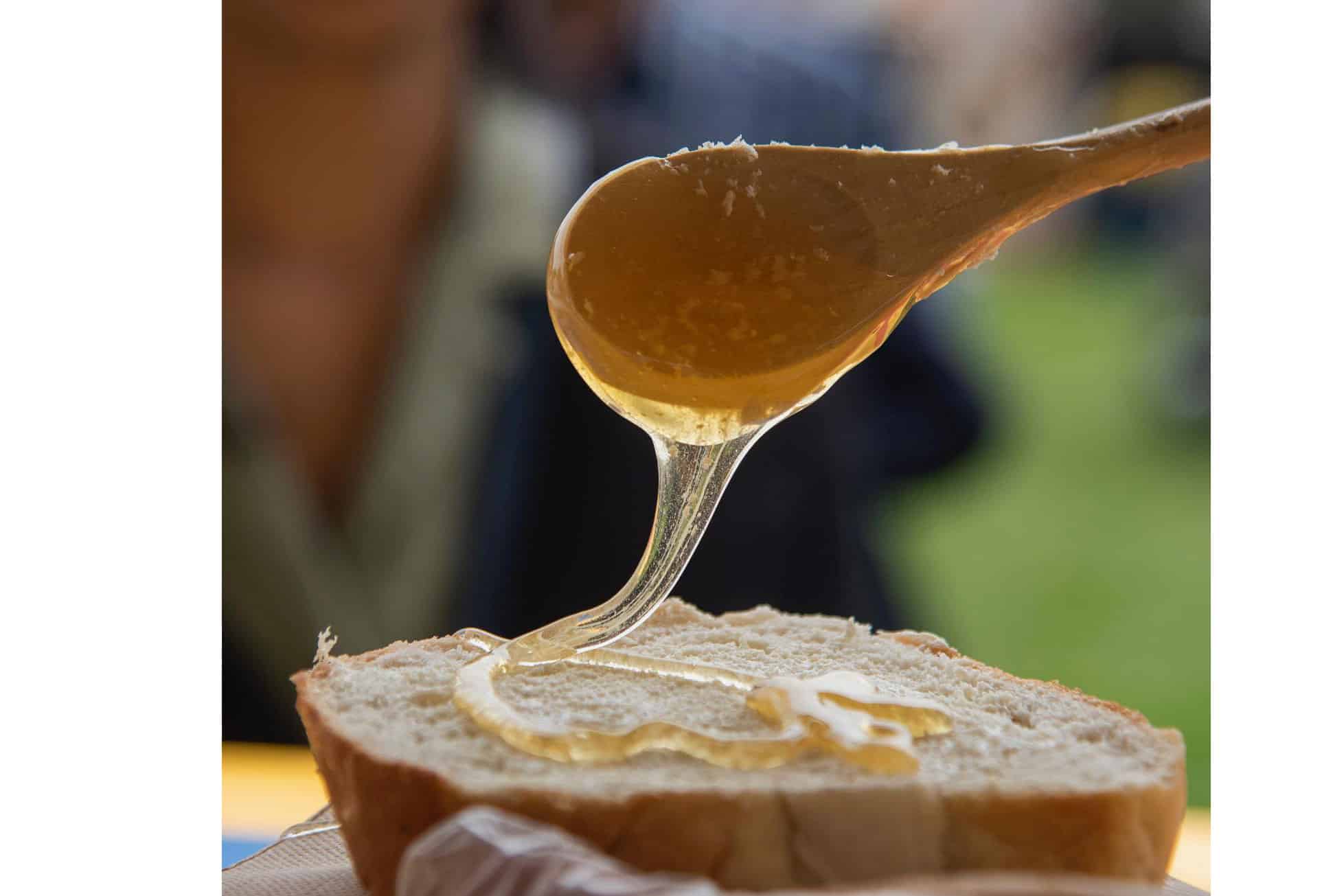 bread honey festival mississauga 2024