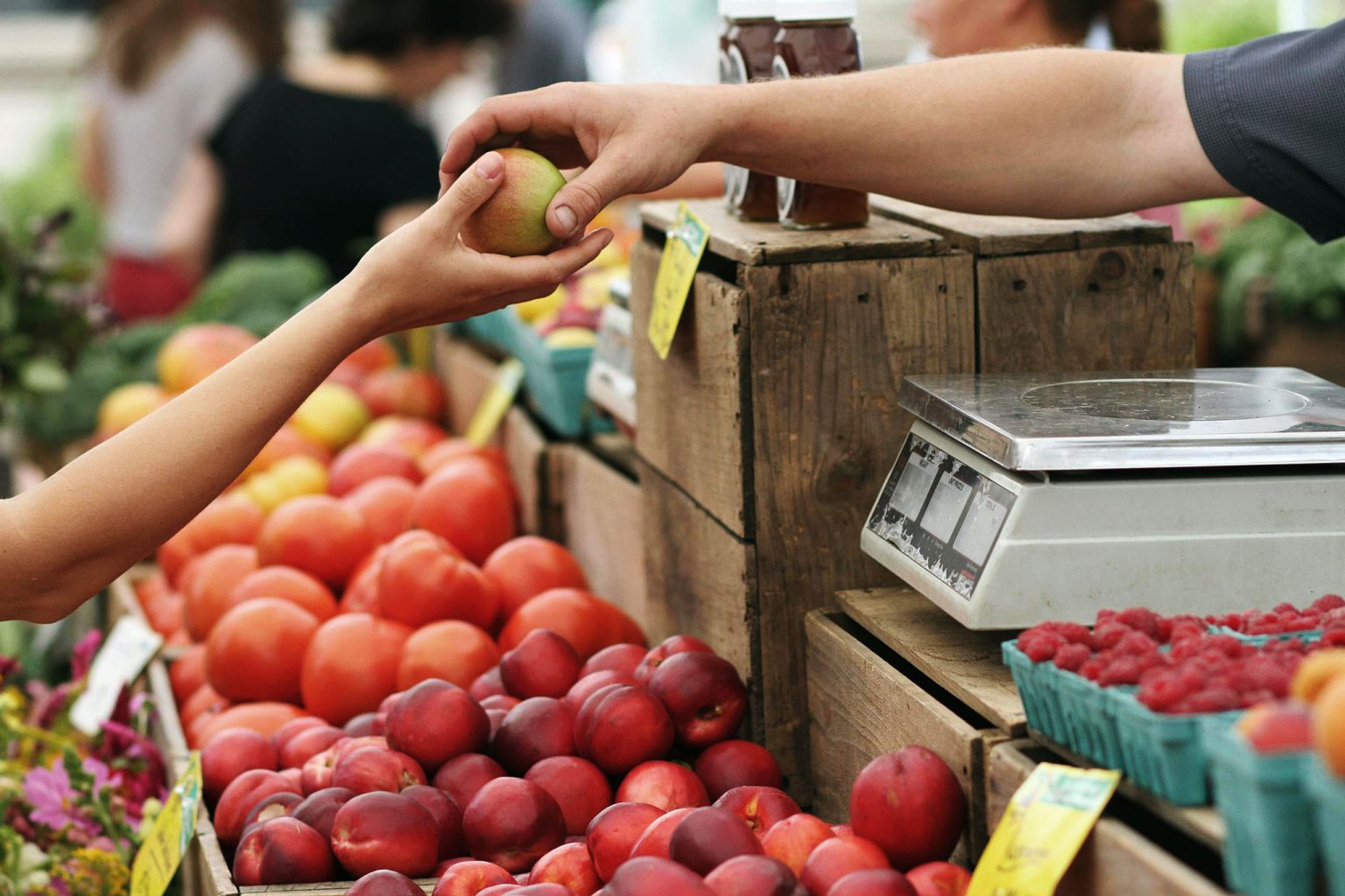 Here are all the farmers' markets in Mississauga in 2024 INsauga