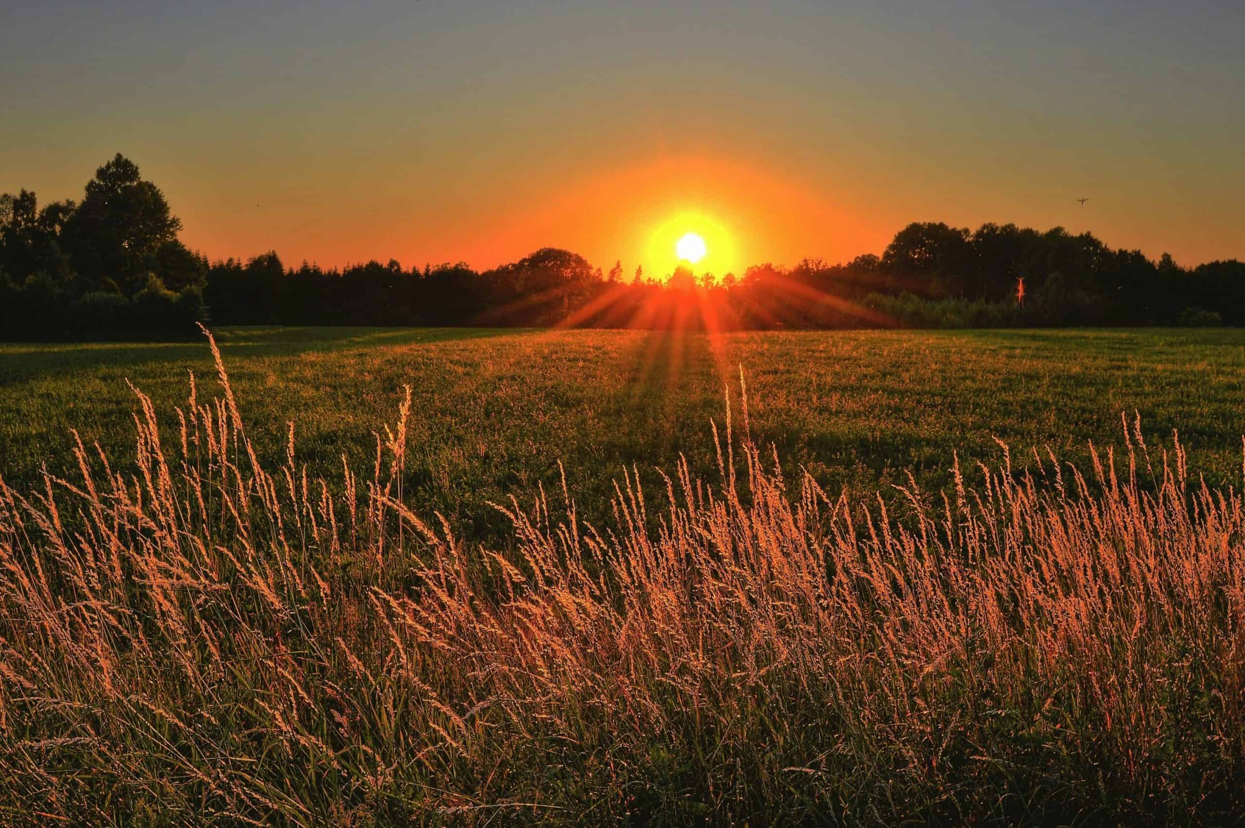 Ontario, Mississauga, weather, forecast, sunny, clear, skies