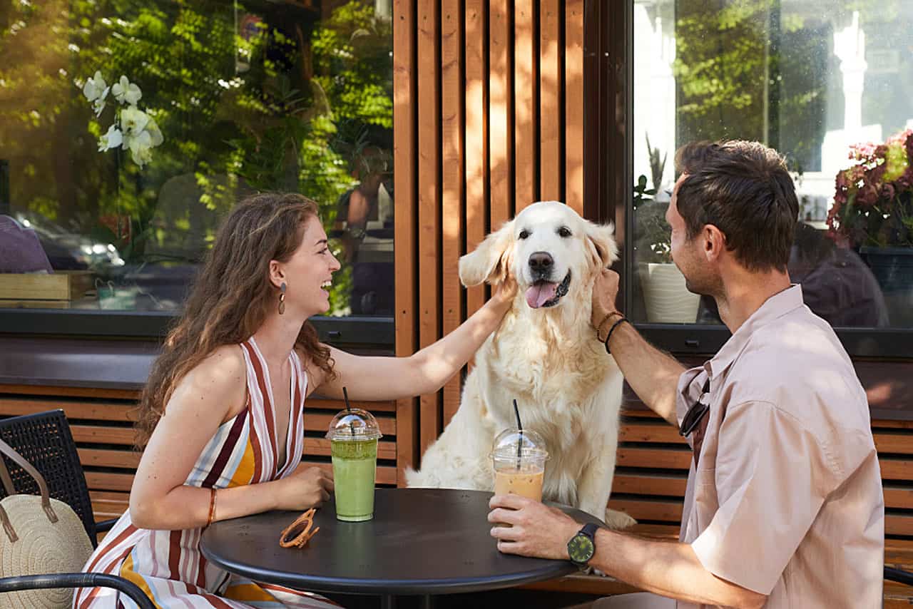 dog friendly restaurant patios ontario