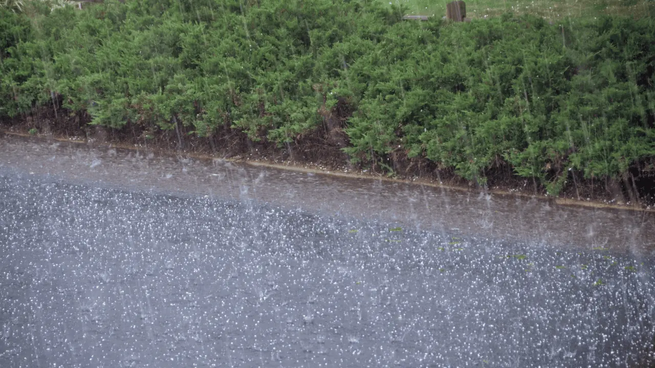 2 severe weather warnings in effect for southern Ontario.