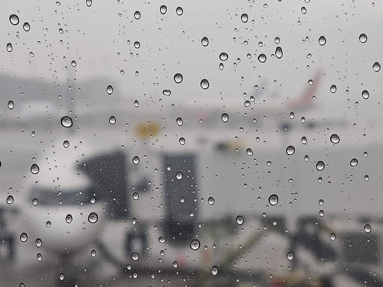 Most rain in southern Ontario fell at Pearson Airport in Mississauga.