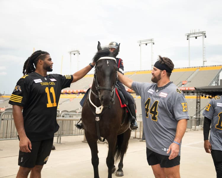 Hamilton Tiger-Cats players Brandon Barlow, on left, and Casey Sayles, on right, greet TC, the newest member of Hamilton's Mounted Unit and named after the football club. HPS PHOTO