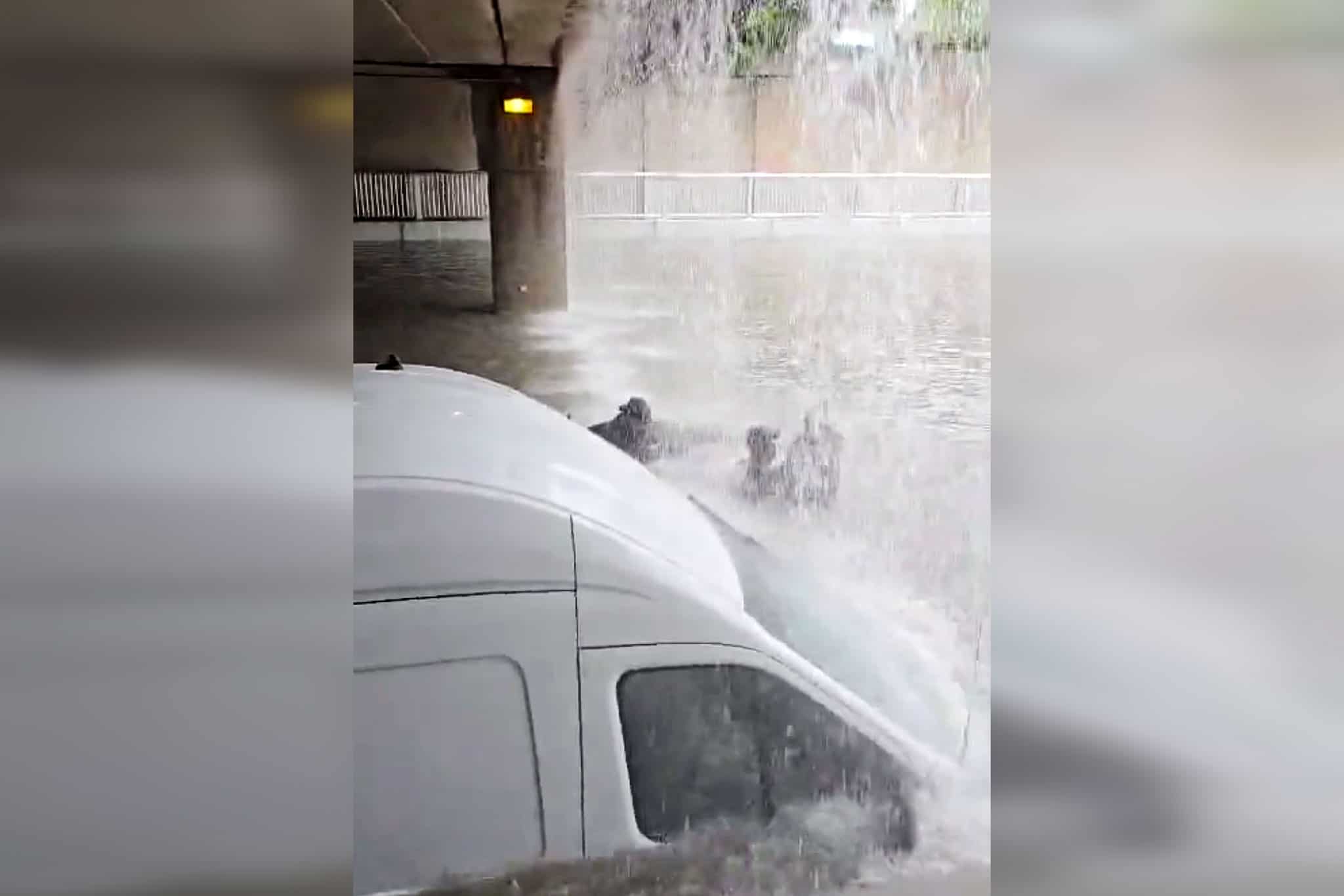 tow truck drivers flooding mississauga