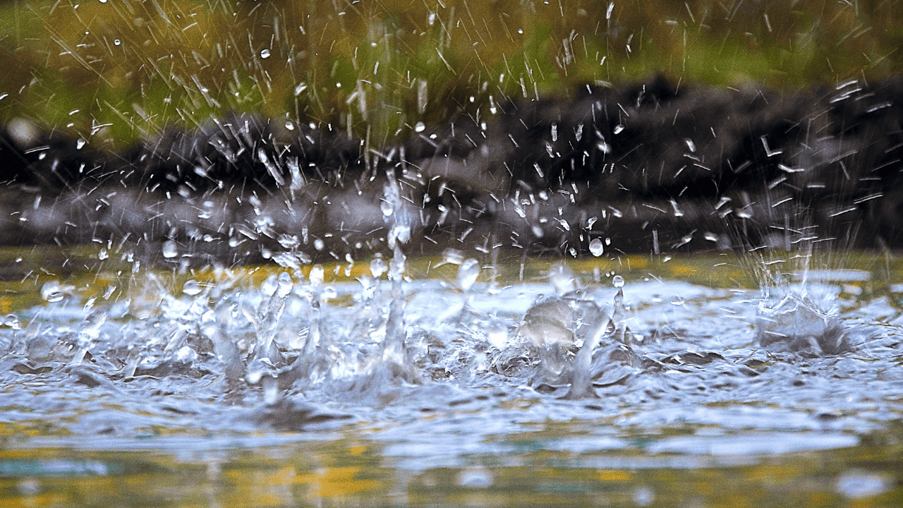 heavy rain, heat warning, southern Ontario