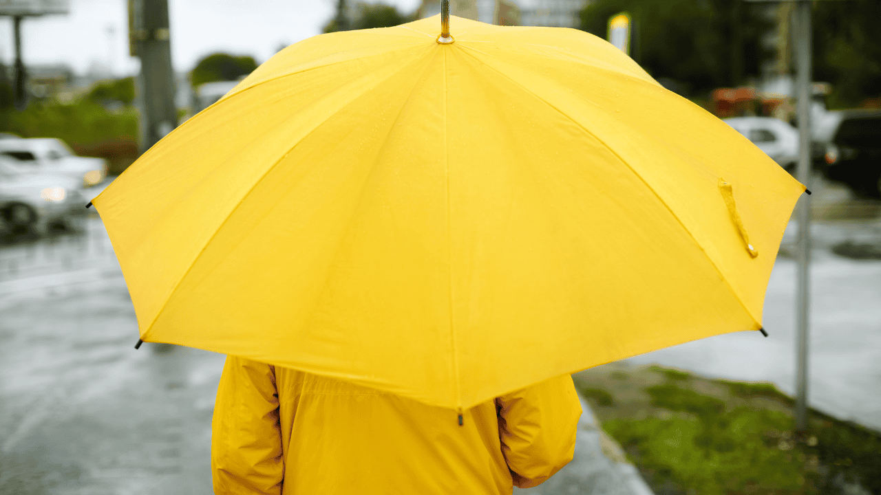 rain, sunshine, heavy rain, windy, weather, southern, Ontario, forecast.