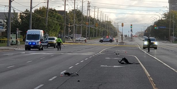 mississauga hit and run man dies