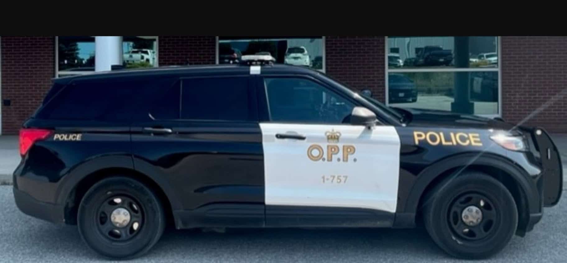 Carjacker in Orangeville, Ontario.