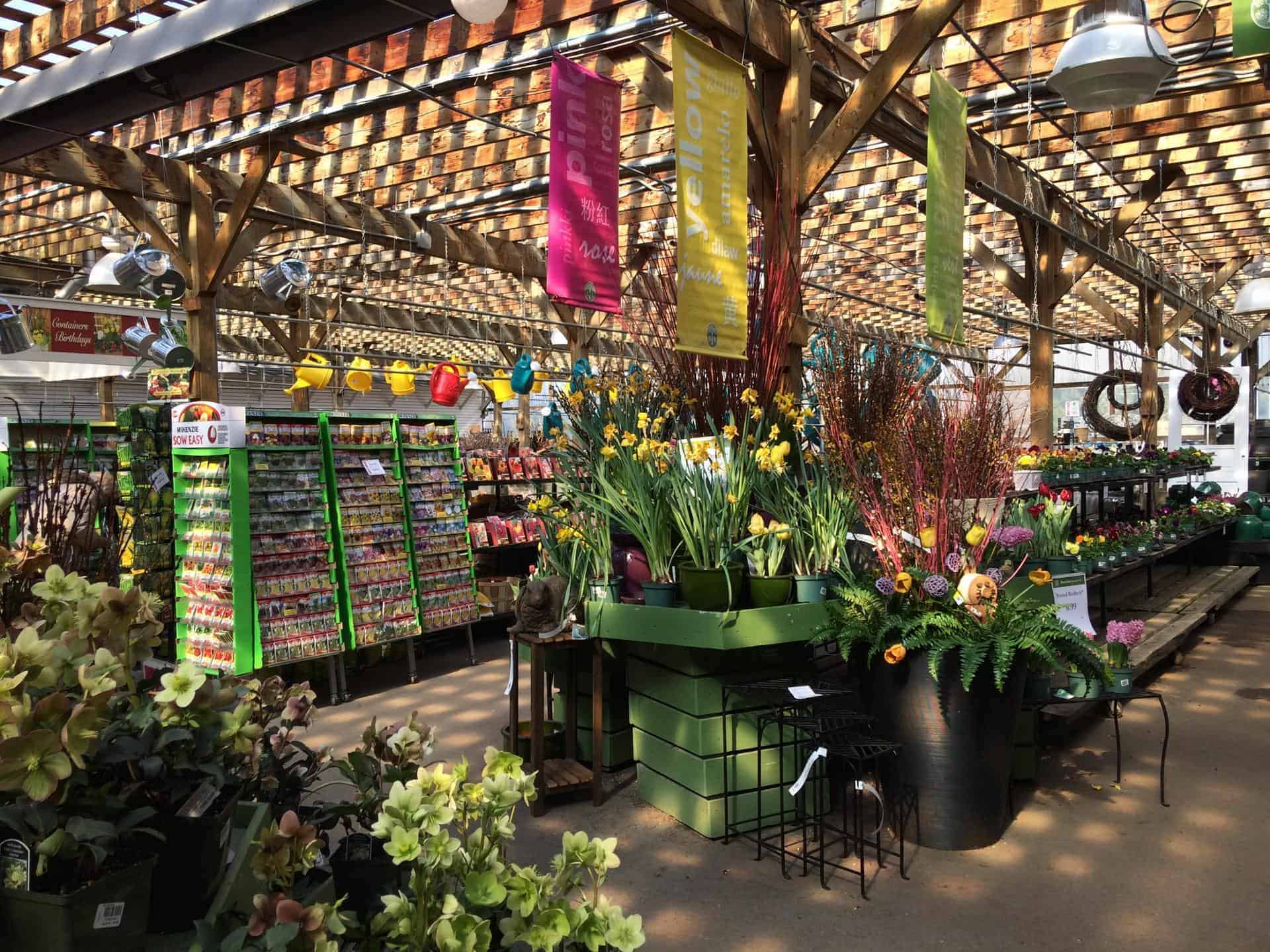 garden centre closed flooding mississauga