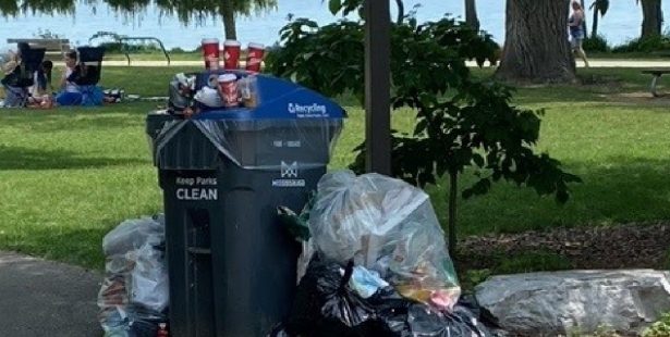 More illegal dumping in Mississauga parks.