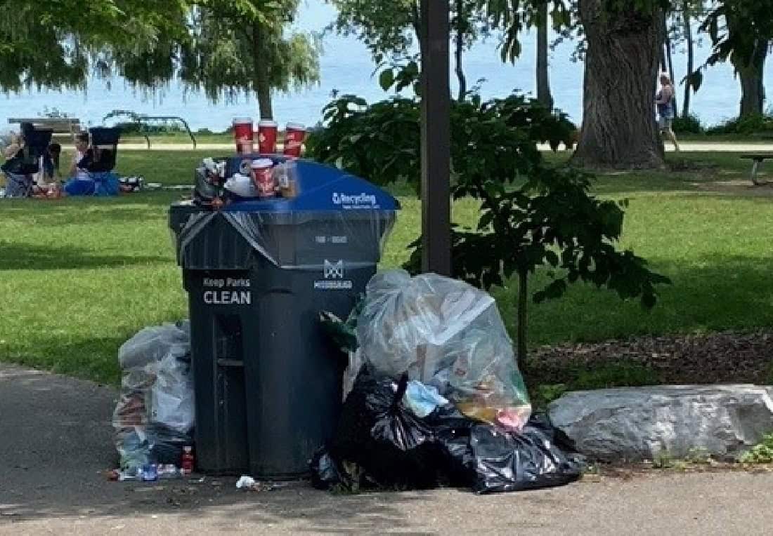 More illegal dumping in Mississauga parks.