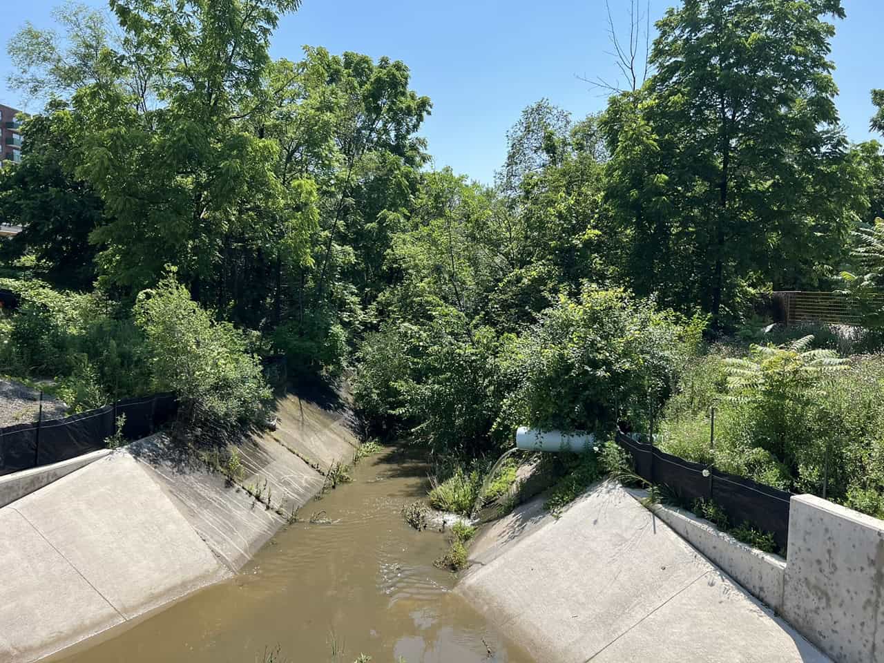 Mary Fix Creek and Hazel LRT in Mississauga.