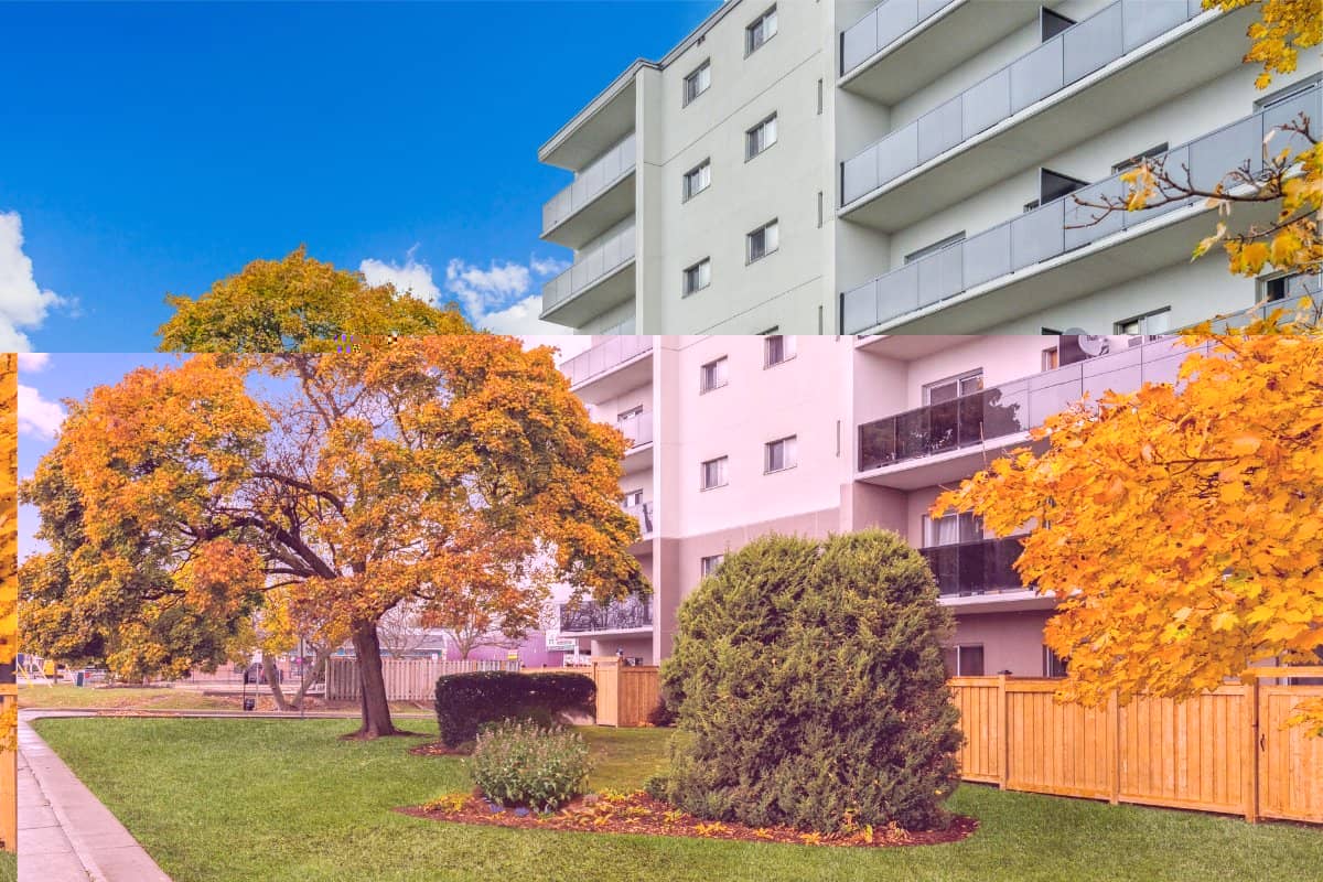 Oshawa rental apartment