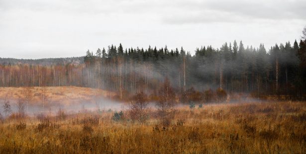 Ontario, Mississauga, Environment Canada, weather, forecast, fog, sunny, clouds, evening