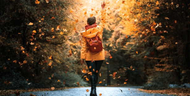 fall, weather, rain, windy, chilly, cool, conditions, southern Ontario.