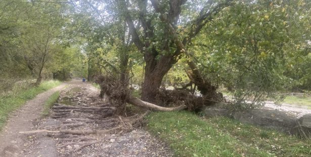 park damage mississauga floods