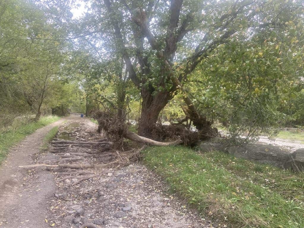 park damage mississauga floods