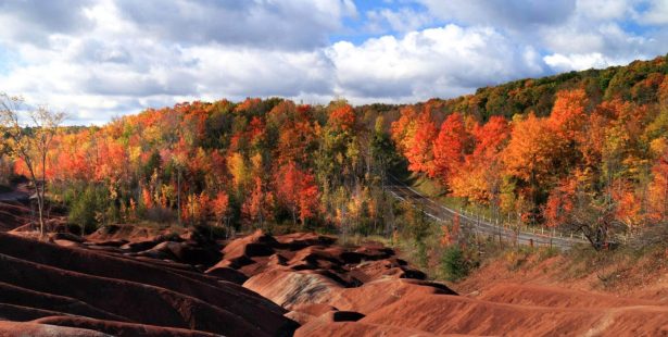 5 places to escape the city and see fall colours in Brampton and Caledon