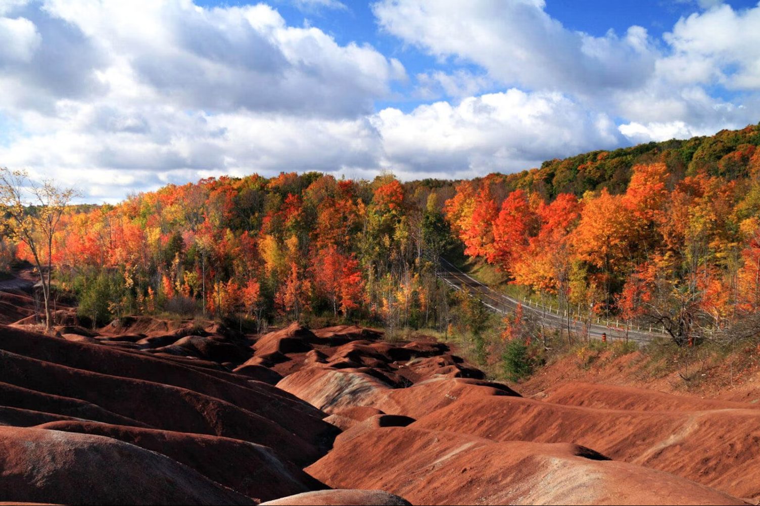 5 places to escape the city and see fall colours in Brampton and Caledon