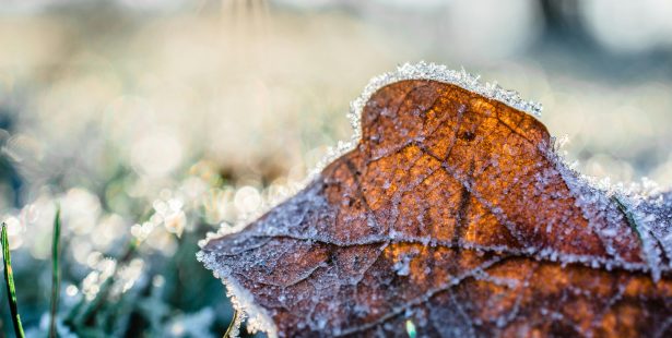 Overnight frost warning issued to Mississauga, Brampton, Niagara Falls and other GTHA municipalities