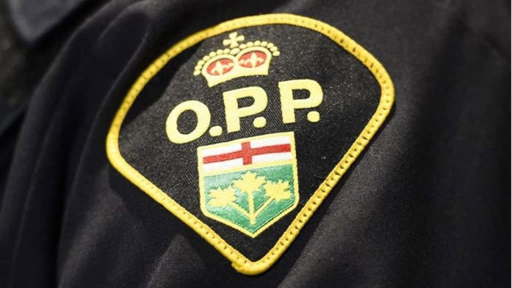 11 stolen vehicles seized by police in Ontario town.