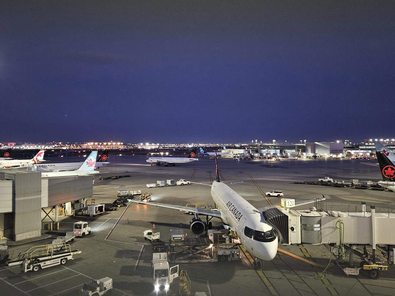 500,000 Thanksgiving travellers at Pearson in Mississauga.