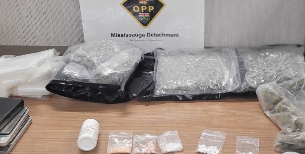 drug trafficking brampton