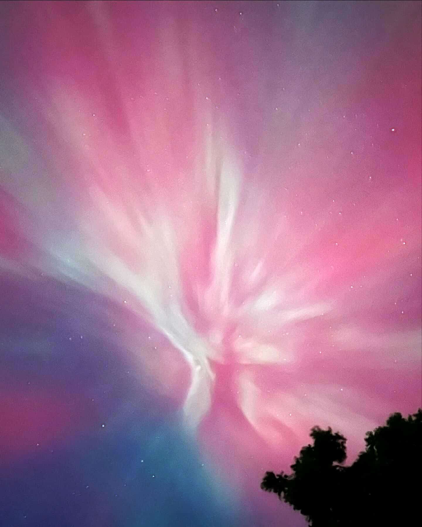 northern lights ontario