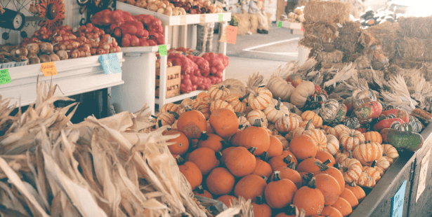 farmers', market, buy, produce, fall, autumn, Mississauga.