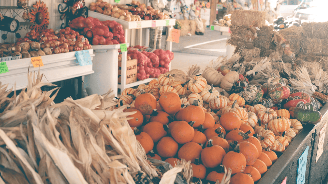 farmers', market, buy, produce, fall, autumn, Mississauga.