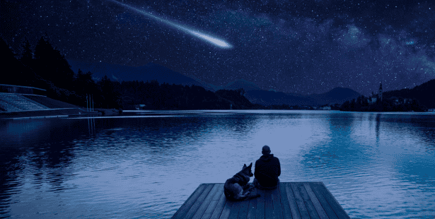 meteor, shower, sky, astronomy, lights, space, telescope, shooting, stars, night, Ontario.