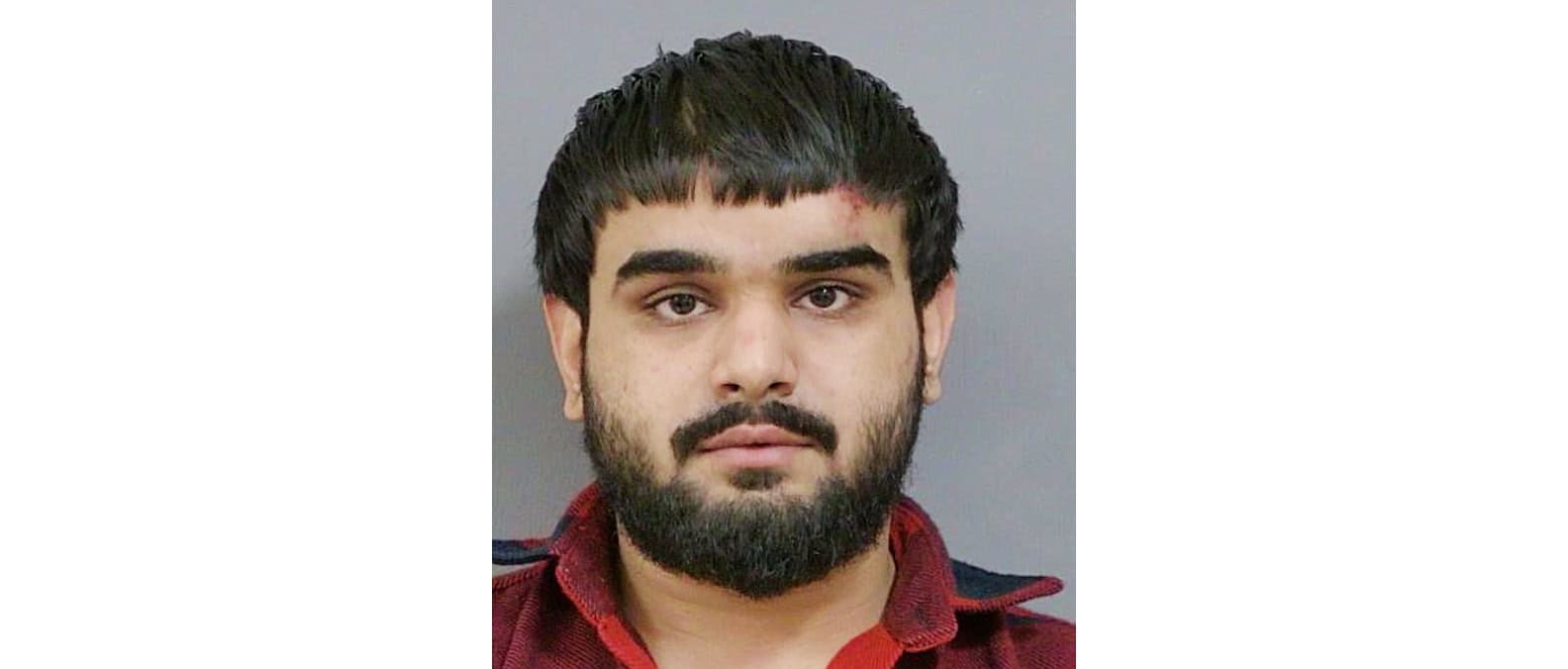 Singh Brampton assault student international