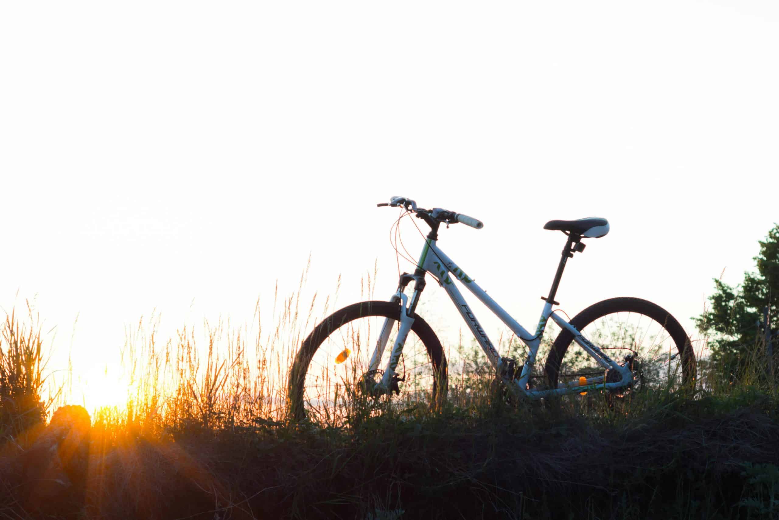 Cyclist allegedly exposed themselves to the public in Ontario community park