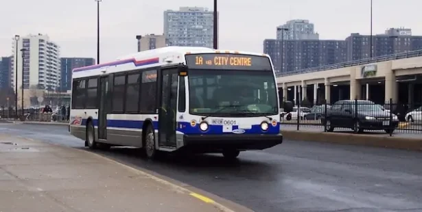 Transit, buses, strike, CUPE, service, disruption, resume, CUPE 831, Brampton.