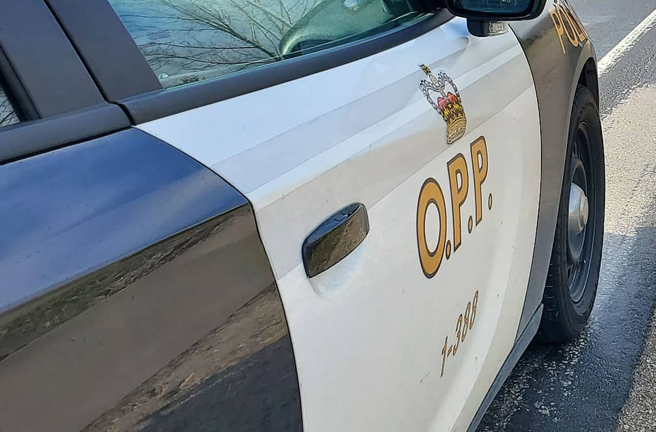 bylaw officer assault caledon