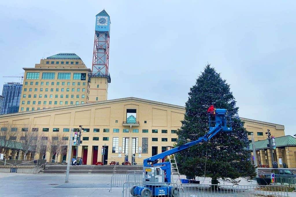 Light Up the Square event in Mississauga November 2024.