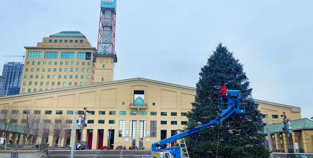 christmas tree light up mississauga 2024